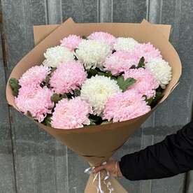 Хризантема одноголовая микс