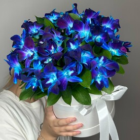 Букет из космических орхидей в коробке (23 шт). Flowerly.