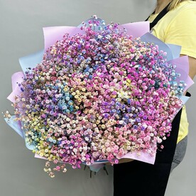 Букет живых цветов из разноцветных гипсофил 25 шт