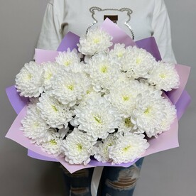 Букет живых цветов из кустовых хризантем 5 шт