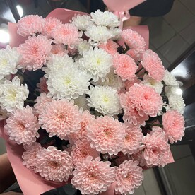 Микс хризантемы