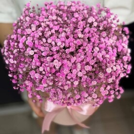 Гипсофила 11 шт в коробке