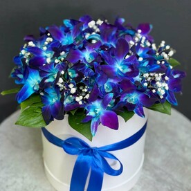 Букет из космических орхидей и белоснежных гипсофил