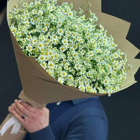 Букет ромашек