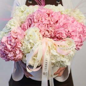 Лёгкость облаков