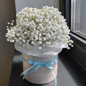 БЕЛОСНЕЖНОЕ ОБЛАКО ИЗ ГИПСОФИЛЫ