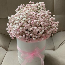 Нежно - РОЗОВОЕ ОБЛАЧКО ИЗ ГИПСОФИЛЫ