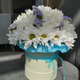 БЕЛЫЕ РОМАШКИ СО СТАТИЦЕЙ