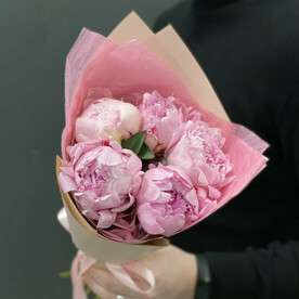 РОЗОВЫЕ ПИОНЫ