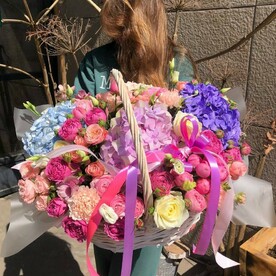 ЯРКАЯ КРАСОТКА