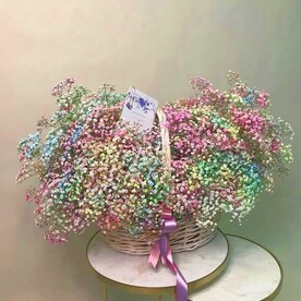 РАДУЖНОЕ ОБЛАКО ГИПСОФИЛЫ