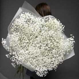 БЕЛОСНЕЖНОЕ ОБЛАКО ГИПСОФИЛЫ