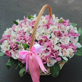 НЕЖНЫЙ МИКС ОРХИДЕЙ В КОРЗИНЕ