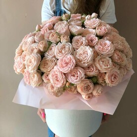 101 КУСТОВАЯ РОЗА