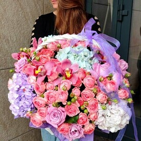 МОЯ КРАСАВИЦА