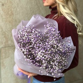 КОМПЛИМЕНТ ИЗ ГИПСОФИЛЫ