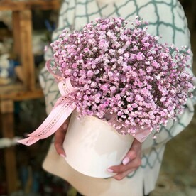 ШИКАРНАЯ ГИПСОФИЛА