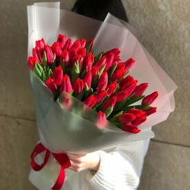51 КРАСНЫЙ ТЮЛЬПАН
