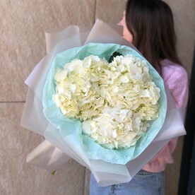 Воздушное облако