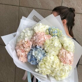 11 гортензий нежный микс