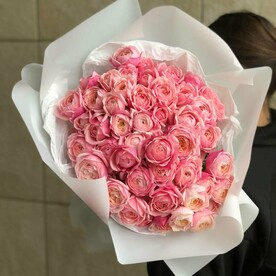 СИЛЬВА ПИНК