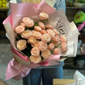 Кустовые бомбастики