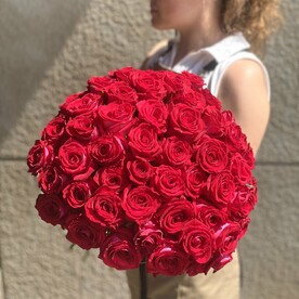 51 красная роза