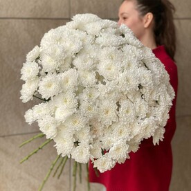 Охапка хризантем 15шт Эко-френдли