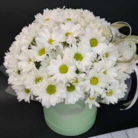 "Ромашки " КОРОБОЧКА С ХРИЗАНТЕМОЙ