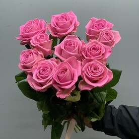 Розовые Розы 11шт