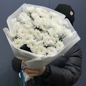 Белая хризантема