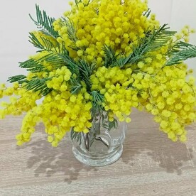Мимоза в вазе