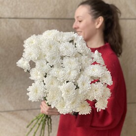 ОХАПКА ХРИЗАНТЕМ 9шт ЭКО-ФРЕНДЛИ