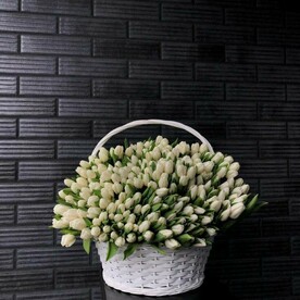 151 белый тюльпан в корзине