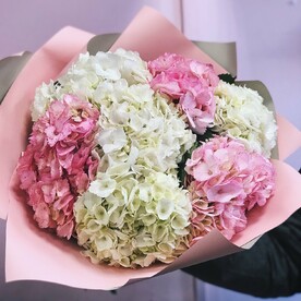 7 крупных гортензий