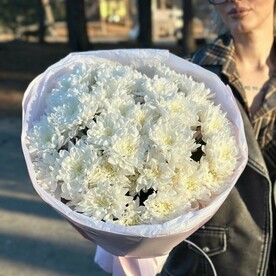 7 кустовых хризантем