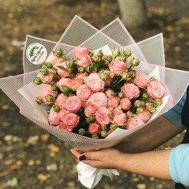 13 пионовидных кустовых роз