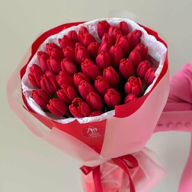 51 красный тюльпан