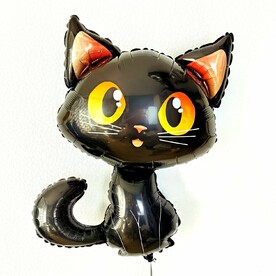 Черный котик