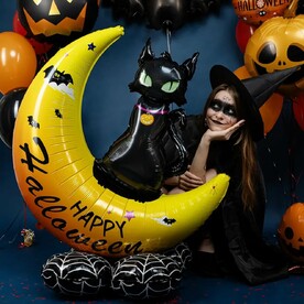 Шар фигура зодячка , кот на луне на подставке