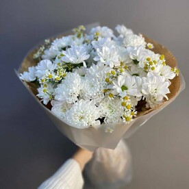 Ромашникус