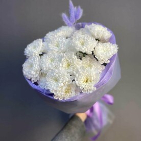 5 хризантем