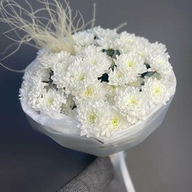 Невесомый полёт