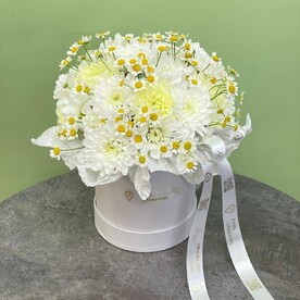 Ромашковое поле