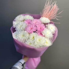 Кругляш 5 хризантем