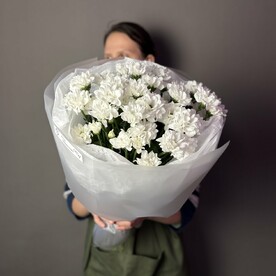 Ромашковое поле