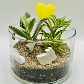 Флорариум «Весна на Камчатке»