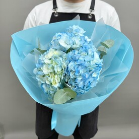 Гортензии голубые Колумбия в букете 3 шт Q102
