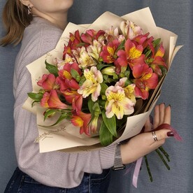 Яркая альстромерия