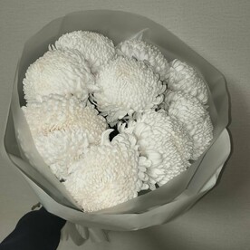 Белые хризантемы